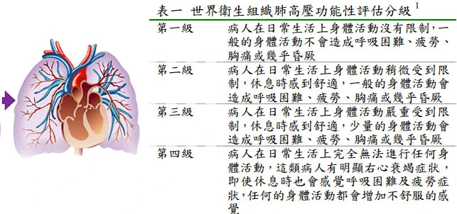 肺動脈高壓 肺動脈高壓